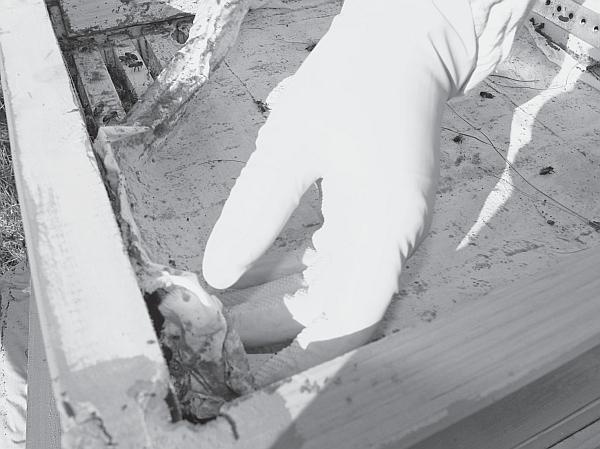 Иллюстрация к книге — Пчеловодство для начинающих [_27.jpg]