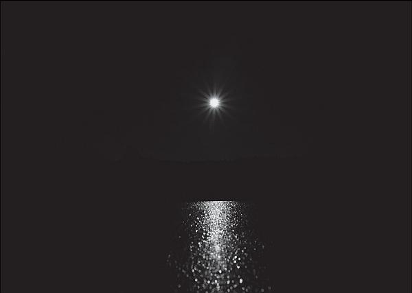 Иллюстрация к книге — Пчеловодство для начинающих [_275.jpg]