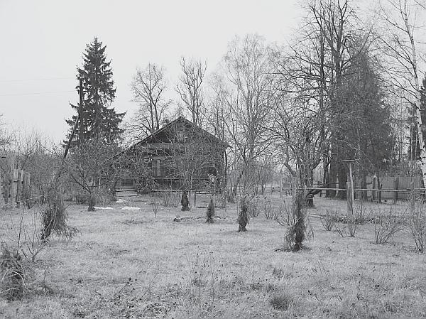 Иллюстрация к книге — Пчеловодство для начинающих [_287.jpg]