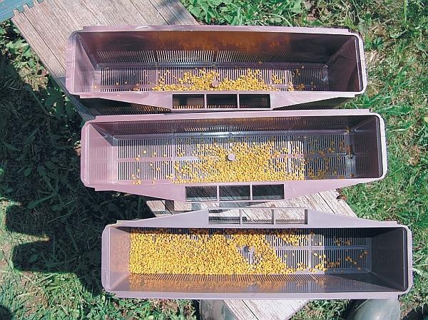 Иллюстрация к книге — Пчеловодство для начинающих [_305.jpg]