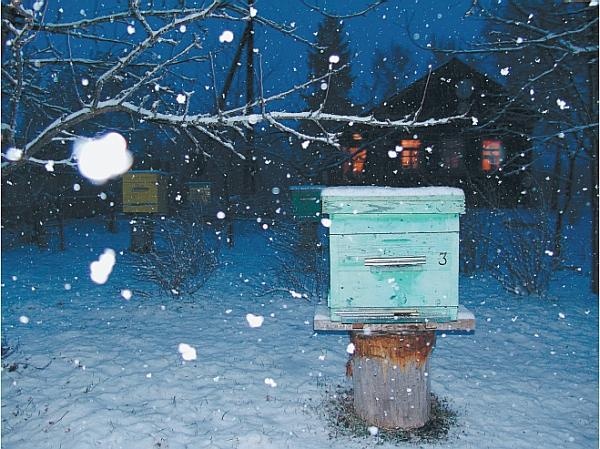 Иллюстрация к книге — Пчеловодство для начинающих [_313.jpg]