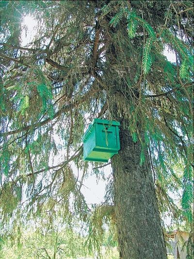 Иллюстрация к книге — Пчеловодство для начинающих [_321.jpg]