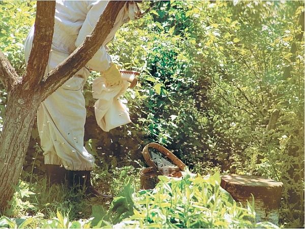 Иллюстрация к книге — Пчеловодство для начинающих [_328.jpg]