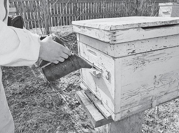 Иллюстрация к книге — Пчеловодство для начинающих [_70.jpg]