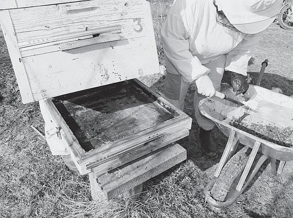 Иллюстрация к книге — Пчеловодство для начинающих [_75.jpg]