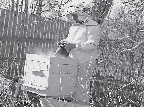 Иллюстрация к книге — Пчеловодство для начинающих [_82.jpg]