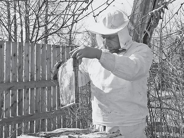 Иллюстрация к книге — Пчеловодство для начинающих [_84.jpg]