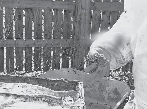 Иллюстрация к книге — Пчеловодство для начинающих [_86.jpg]