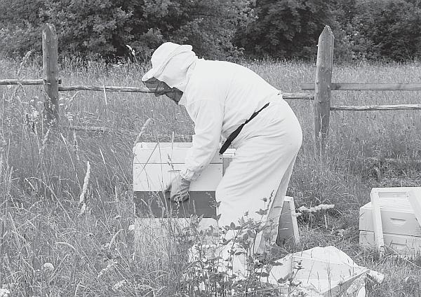 Иллюстрация к книге — Пчеловодство для начинающих [_89.jpg]