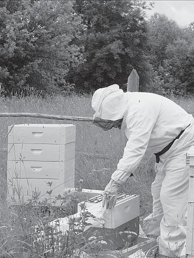 Иллюстрация к книге — Пчеловодство для начинающих [_93.jpg]