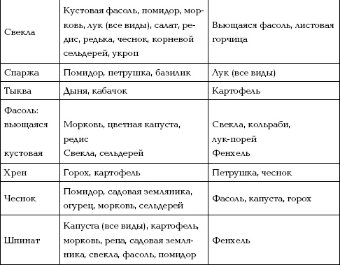 Иллюстрация к книге — Отличный урожай круглый год [i_025.jpg]