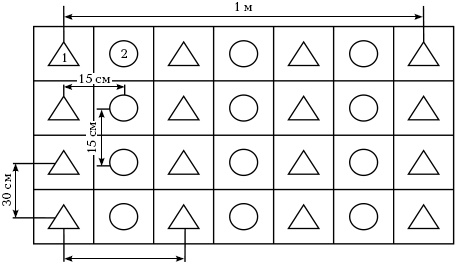 Иллюстрация к книге — Отличный урожай круглый год [i_029.jpg]