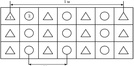 Иллюстрация к книге — Отличный урожай круглый год [i_030.jpg]