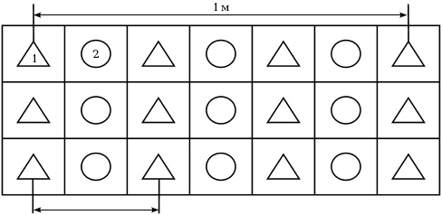Иллюстрация к книге — Отличный урожай круглый год [i_031.jpg]