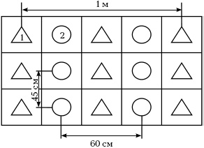 Иллюстрация к книге — Отличный урожай круглый год [i_035.jpg]