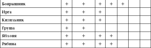 Иллюстрация к книге — Отличный урожай круглый год [i_093.jpg]