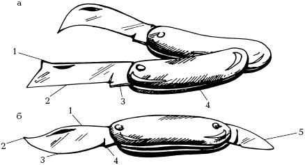 Иллюстрация к книге — Отличный урожай круглый год [i_094.jpg]