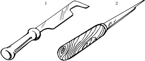 Иллюстрация к книге — Отличный урожай круглый год [i_095.jpg]