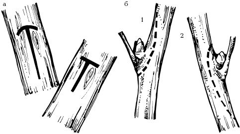Иллюстрация к книге — Отличный урожай круглый год [i_102.jpg]