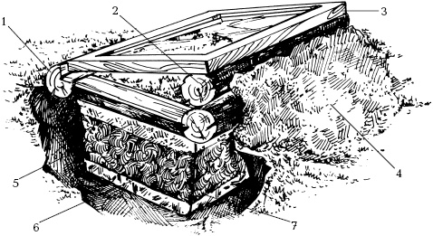 Иллюстрация к книге — Отличный урожай круглый год [i_132.jpg]