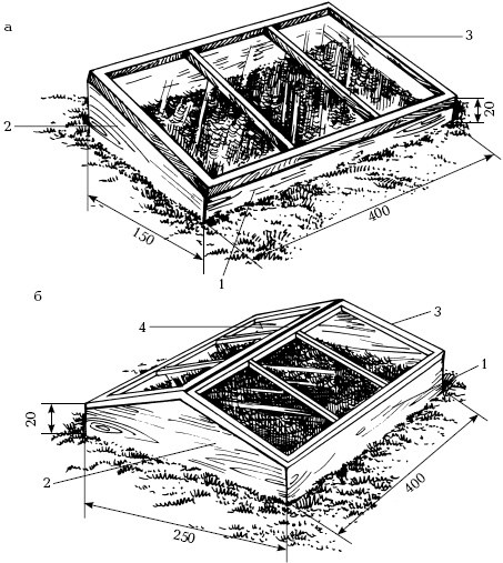 Иллюстрация к книге — Отличный урожай круглый год [i_134.jpg]