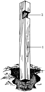 Иллюстрация к книге — Отличный урожай круглый год [i_139.jpg]