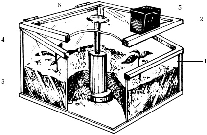 Иллюстрация к книге — Отличный урожай круглый год [i_149.jpg]