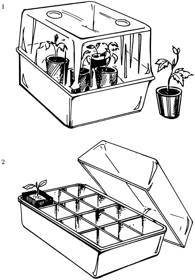 Иллюстрация к книге — Отличный урожай круглый год [i_157.jpg]