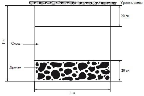Иллюстрация к книге — Домашний виноградник. Виноград для средней полосы России и севернее [autogen_ebook_id1.jpg]