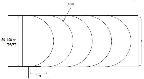 Иллюстрация к книге — Домашний виноградник. Виноград для средней полосы России и севернее [autogen_ebook_id3.jpg]