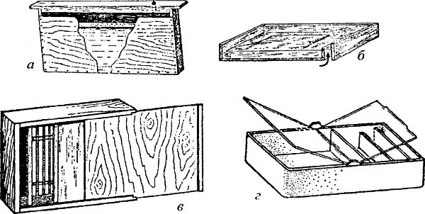 Иллюстрация к книге — Основы пчеловодства. Самые необходимые советы тому, кто хочет завести собственную пасеку [_052_1.jpg]