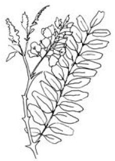 Иллюстрация к книге — Полный справочник пчеловода [i_036.jpg]