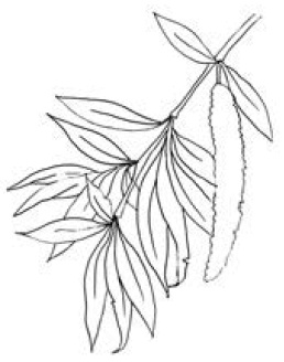 Иллюстрация к книге — Полный справочник пчеловода [i_041.jpg]