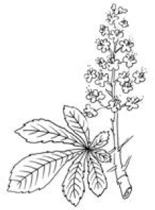 Иллюстрация к книге — Полный справочник пчеловода [i_044.jpg]