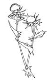 Иллюстрация к книге — Полный справочник пчеловода [i_062.jpg]