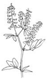 Иллюстрация к книге — Полный справочник пчеловода [i_065.jpg]