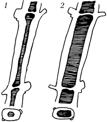 Иллюстрация к книге — Ваш домашний виноградник [_28.jpg]