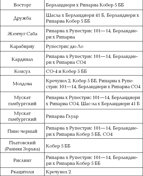 Иллюстрация к книге — Ваш домашний виноградник [_35_4.jpg]