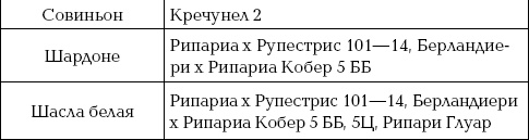Иллюстрация к книге — Ваш домашний виноградник [_35_5.jpg]