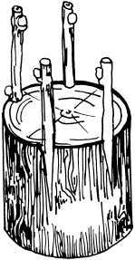 Иллюстрация к книге — Ваш домашний виноградник [_38.jpg]