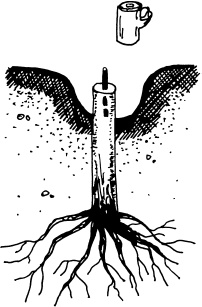 Иллюстрация к книге — Ваш домашний виноградник [_47.jpg]