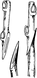 Иллюстрация к книге — Ваш домашний виноградник [_49.jpg]