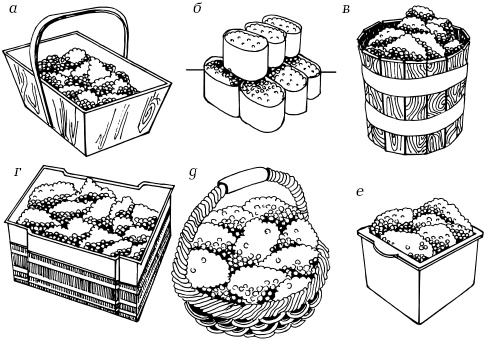 Иллюстрация к книге — Ваш домашний виноградник [_67.jpg]