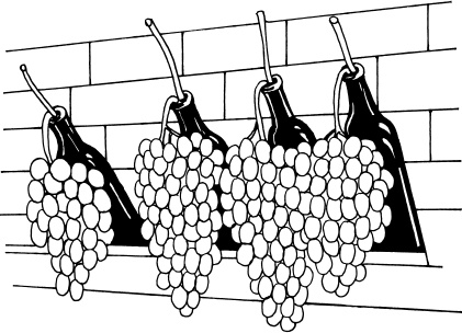 Иллюстрация к книге — Ваш домашний виноградник [_68.jpg]
