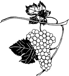 Иллюстрация к книге — Ваш домашний виноградник [_86.jpg]