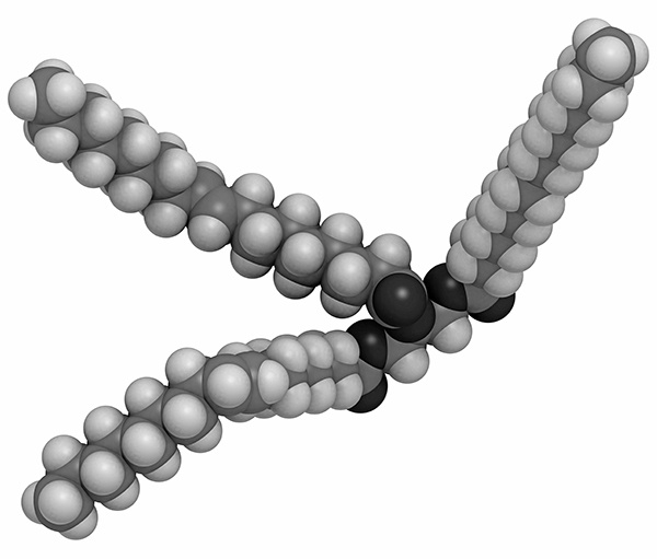 Иллюстрация к книге — [Не]правда о нашем теле. Заблуждения, в которые мы верим [i_009.jpg]