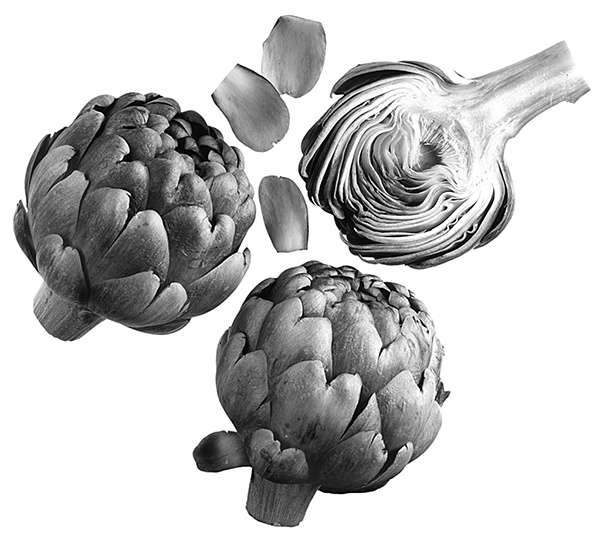 Иллюстрация к книге — [Не]правда о нашем теле. Заблуждения, в которые мы верим [i_019.jpg]