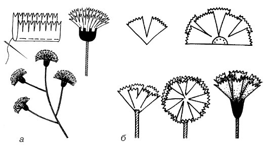 Иллюстрация к книге — Букеты. Искусственные цветы [i_009.jpg]