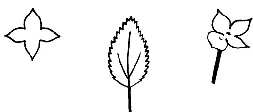 Иллюстрация к книге — Букеты. Искусственные цветы [i_010.jpg]