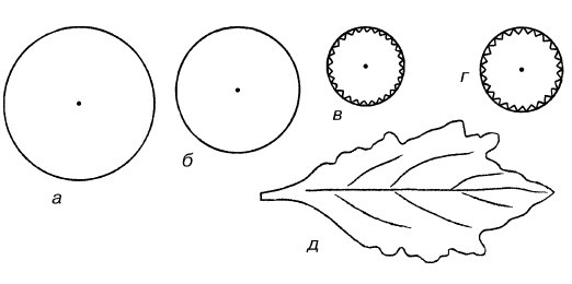 Иллюстрация к книге — Букеты. Искусственные цветы [i_011.jpg]